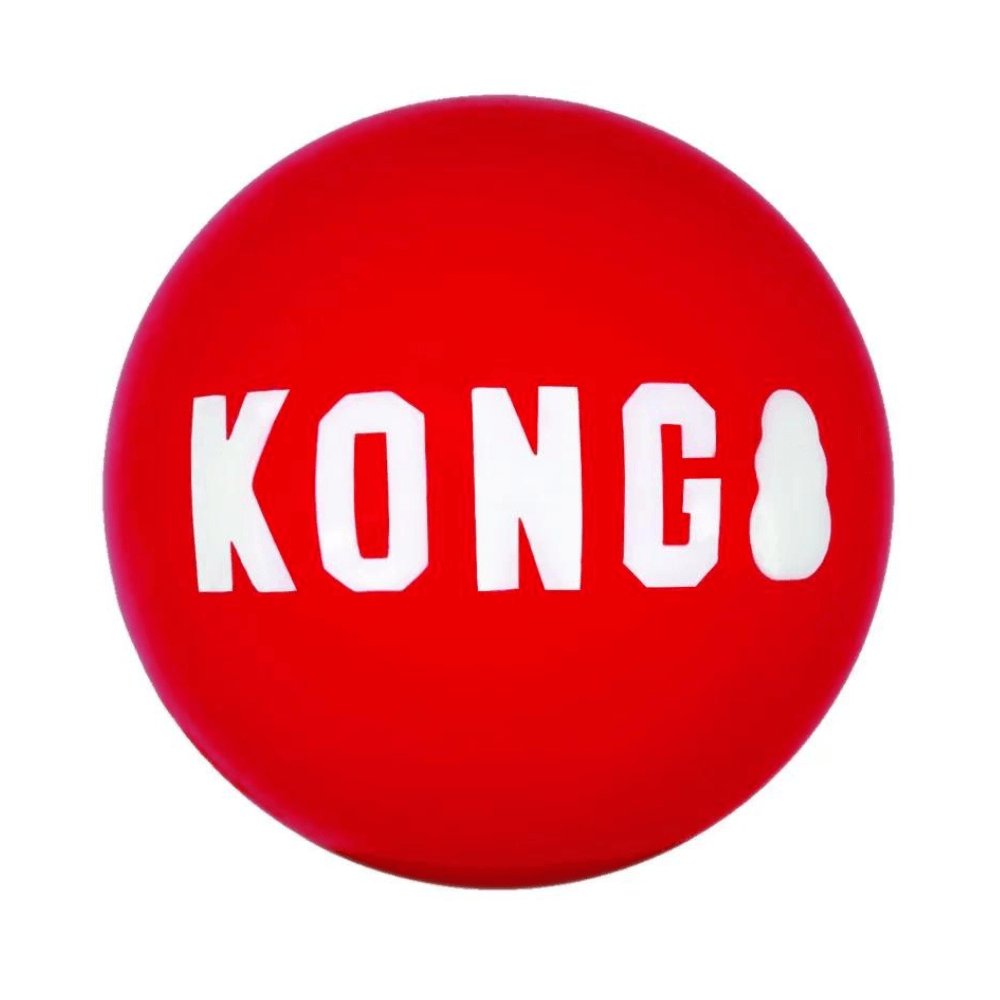 Diseño sin título - 2023-03-30T121835.363